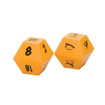 10 Sided Fitness and Exercise Dice