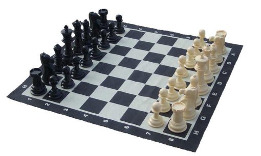 20cm (8 Inch) Giant Chess Set and Mat