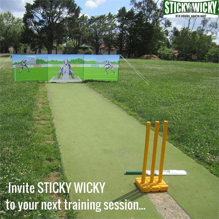 Stick Wicky All Rounder Cricket Set with Backstop